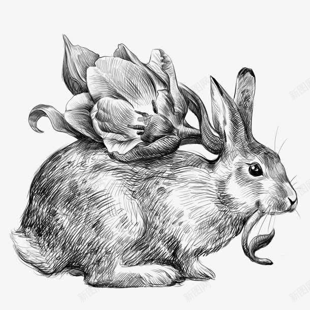 兔子背上的花朵png免抠素材_新图网 https://ixintu.com 兔子 手绘 简图 花朵