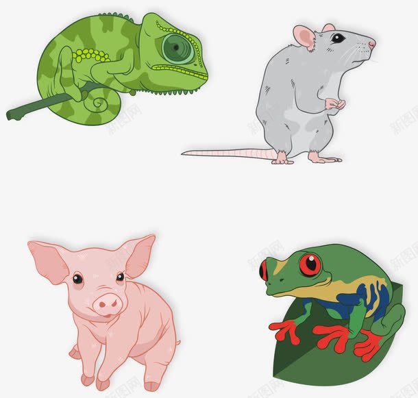 手绘卡通动物png免抠素材_新图网 https://ixintu.com 动物 卡通 变色龙 手绘 猪 老鼠 青蛙