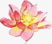 手绘红色花朵黄蕊png免抠素材_新图网 https://ixintu.com 红色 花朵