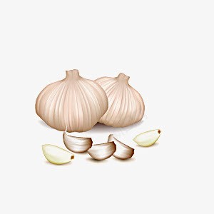 蒜png免抠素材_新图网 https://ixintu.com 卡通 卡通素材 卡通蔬菜 蒜 蒜插画 蔬菜 食品