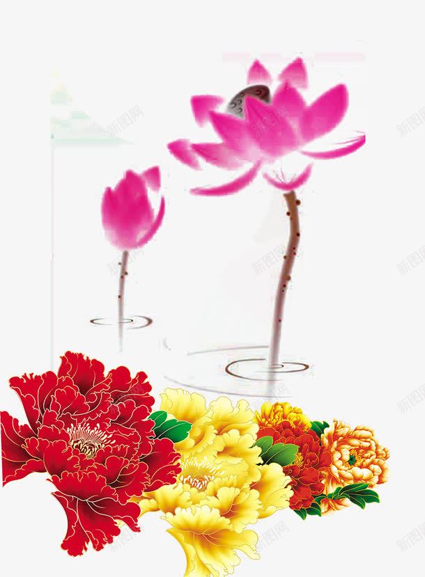 荷花花朵png免抠素材_新图网 https://ixintu.com png图片 免费png 免费png素材 手绘荷花 花朵 荷花