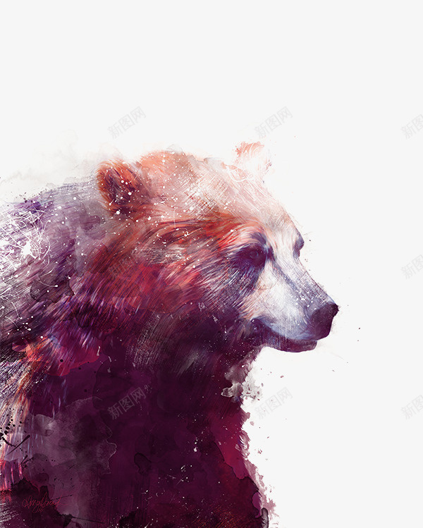 熊动物手绘插画png免抠素材_新图网 https://ixintu.com 动物 手绘 插画 熊