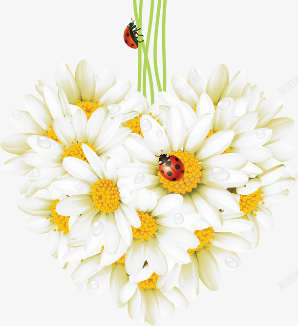 花透明png免抠素材_新图网 https://ixintu.com png 免扣 素材 花 透明
