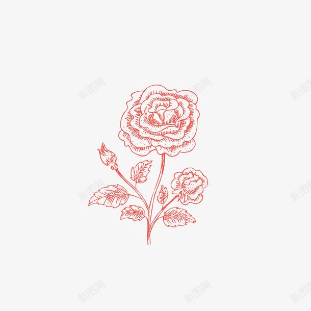 月季花卡通png免抠素材_新图网 https://ixintu.com 月季 红色 线型花纹 线条 花朵
