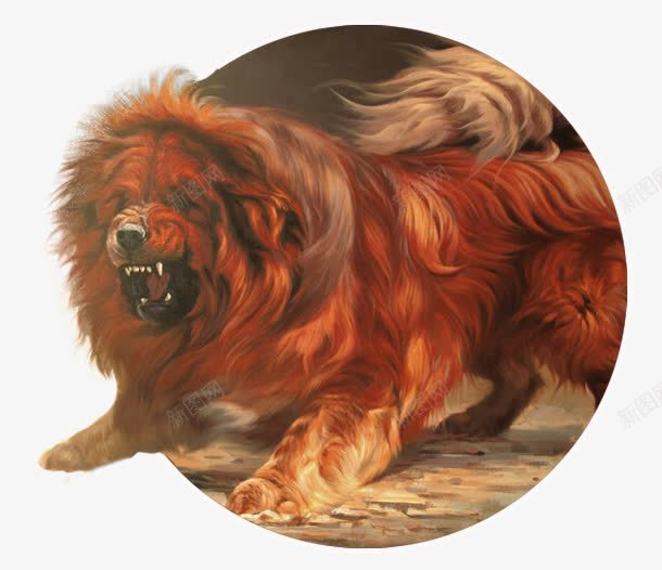 藏獒png免抠素材_新图网 https://ixintu.com h5素材 凶猛 动物 藏獒