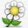 白色花朵图标png免抠素材_新图网 https://ixintu.com flower 小花 花朵
