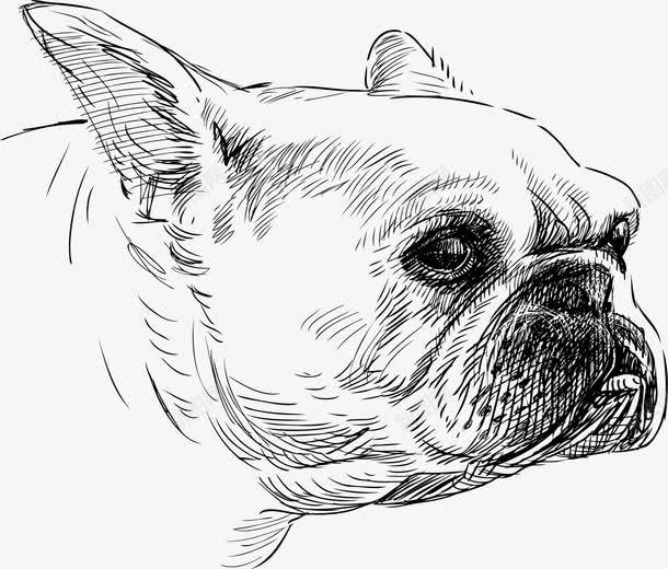 手绘斗牛犬png免抠素材_新图网 https://ixintu.com 动物 恶霸犬 斗牛犬 狗