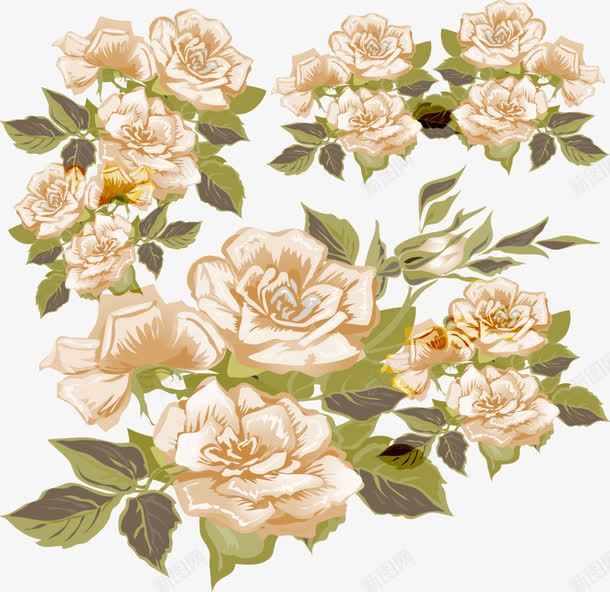 鲜花绿叶鲜花花边框边框png免抠素材_新图网 https://ixintu.com 绿叶 花纹 花边框 边框 鲜花