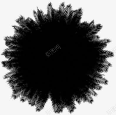 手绘黑白植物海报png免抠素材_新图网 https://ixintu.com 植物 海报 黑白