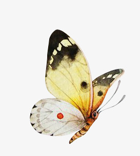 手绘古风装饰古风剪影png免抠素材_新图网 https://ixintu.com 古风装饰 手绘古风 手绘古风装饰 现代元素 现代元素模板 装饰图案 装饰图案psd