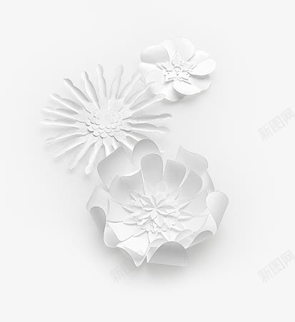 白色创意花朵植物png免抠素材_新图网 https://ixintu.com 创意 植物 白色 花朵