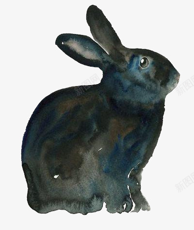 水彩手绘兔子png免抠素材_新图网 https://ixintu.com 兔子 动物 手绘 水彩