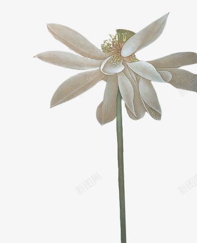 饶花铃png免抠素材_新图网 https://ixintu.com 古风 手绘 花朵