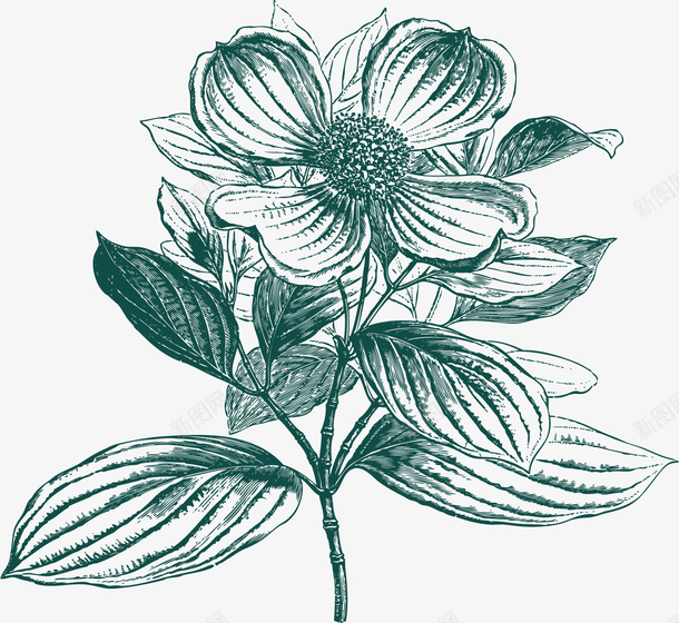 绿色手绘植物花png免抠素材_新图网 https://ixintu.com png图形 png装饰 手绘 植物 绿色 花朵 装饰