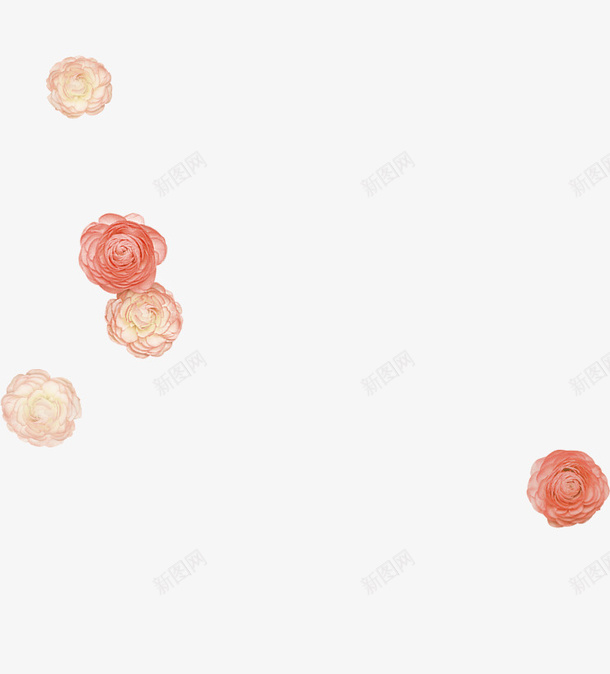 红色清新花朵漂浮png免抠素材_新图网 https://ixintu.com 免抠PNG 清新 漂浮素材 红色 花朵
