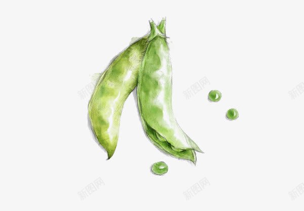 青豆png免抠素材_新图网 https://ixintu.com 手绘 手绘青豆 荷兰豆 食材