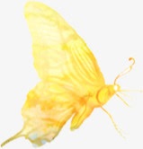 手绘黄色水彩蝴蝶装饰png免抠素材_新图网 https://ixintu.com 水彩 蝴蝶 装饰 黄色