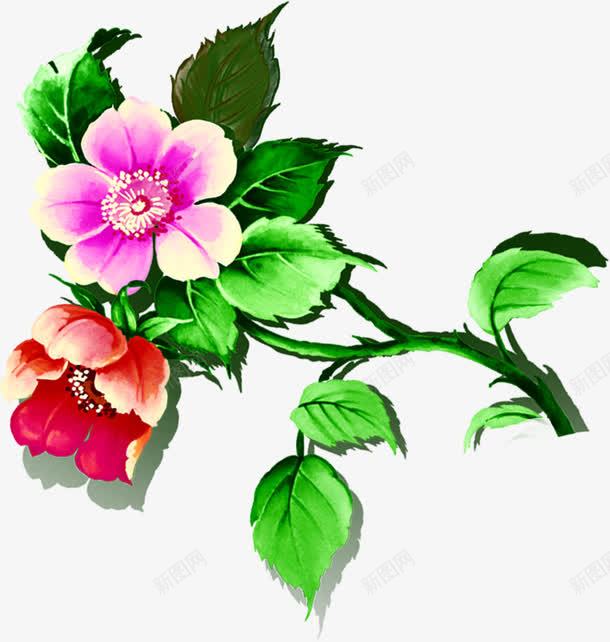手绘水彩花朵绿叶png免抠素材_新图网 https://ixintu.com 水彩 绿叶 花朵