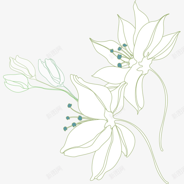 淡白花朵片png免抠素材_新图网 https://ixintu.com 淡白花朵 花朵素材