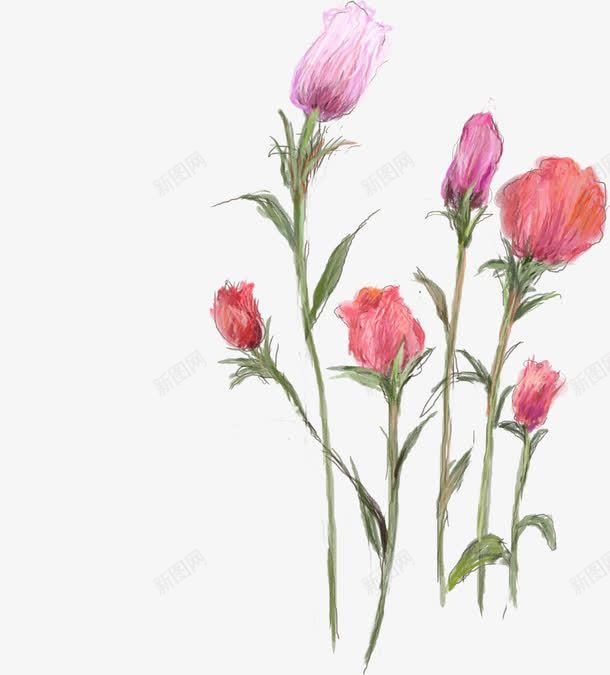 手绘粉色艺术花朵玫瑰png免抠素材_新图网 https://ixintu.com 玫瑰 粉色 艺术 花朵