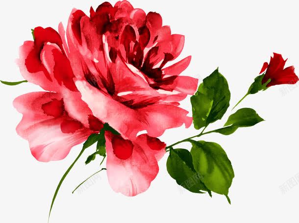 手绘红色精美花朵装饰png免抠素材_新图网 https://ixintu.com 精美 红色 花朵 装饰