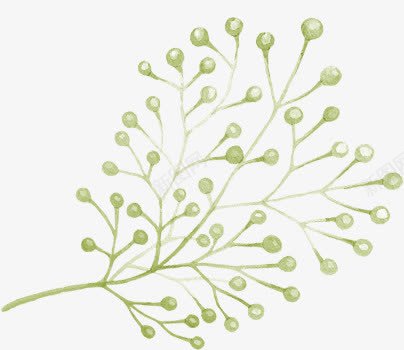 效果海报植物绿色涂鸦png免抠素材_新图网 https://ixintu.com 效果 植物 海报 涂鸦 绿色