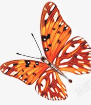 手绘黄色蝴蝶图标png免抠素材_新图网 https://ixintu.com 图标 蝴蝶 黄色