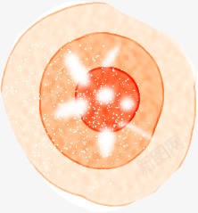 创意合成水彩橙色的花朵png免抠素材_新图网 https://ixintu.com 创意 合成 橙色 水彩 花朵