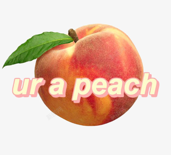 新鲜桃子png免抠素材_新图网 https://ixintu.com PEACH 大桃子 新鲜水果 桃子免扣PNG 水蜜桃 粉色桃子