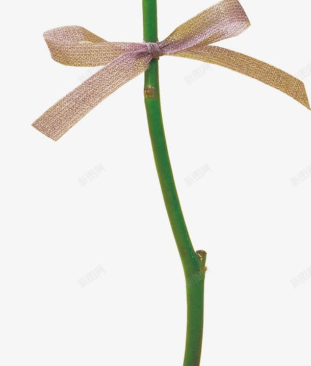 清新黄粉色玫瑰花朵png免抠素材_新图网 https://ixintu.com 清新 玫瑰 粉色 花朵