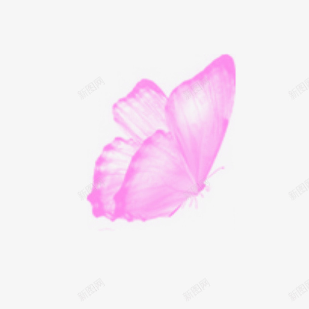 紫色蝴蝶png免抠素材_新图网 https://ixintu.com 紫色 蝴蝶 飞舞