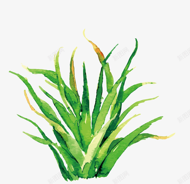绿色小草矢量图eps免抠素材_新图网 https://ixintu.com 水彩 绿色 草 草矢量 矢量图