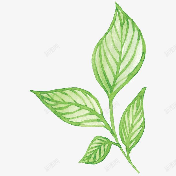 漂浮植物png免抠素材_新图网 https://ixintu.com 手绘 植物 绿叶