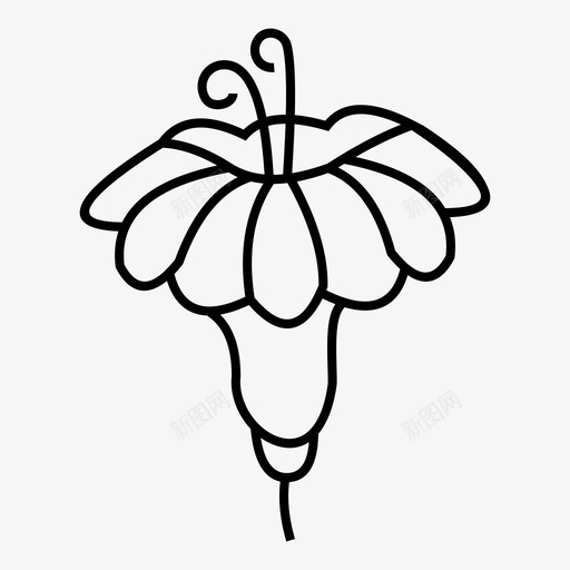 花卉植物学装饰图标svg_新图网 https://ixintu.com 手绘 收藏 植物学 花卉 花园 装饰