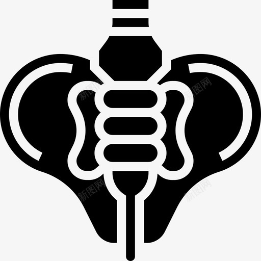 骨盆人体器官4字形图标svg_新图网 https://ixintu.com 人体器官4 字形 骨盆