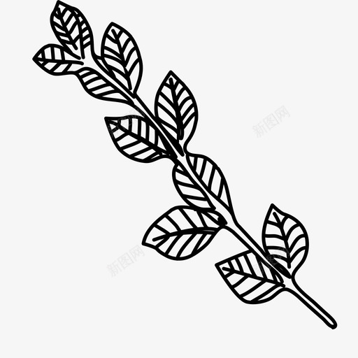 叶枝植物学叶图标svg_新图网 https://ixintu.com 叶 叶枝 手绘叶 植物学 自然