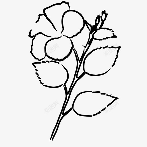 芙蓉花自然图标svg_新图网 https://ixintu.com 手绘 植物 自然 芙蓉