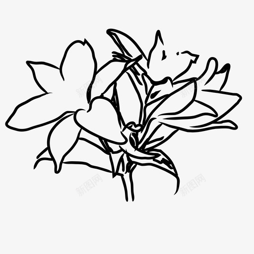 百合花自然图标svg_新图网 https://ixintu.com 手绘 植物 百合 自然