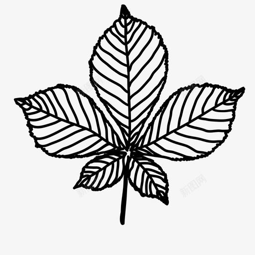 板栗叶植物叶图标svg_新图网 https://ixintu.com 手绘 板栗 植物 自然