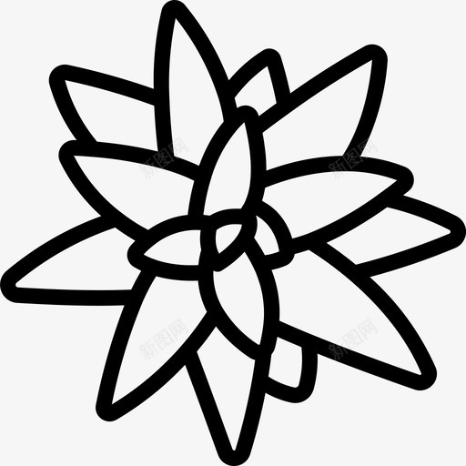 凤梨科植物学直系图标svg_新图网 https://ixintu.com 凤梨 植物学 直系