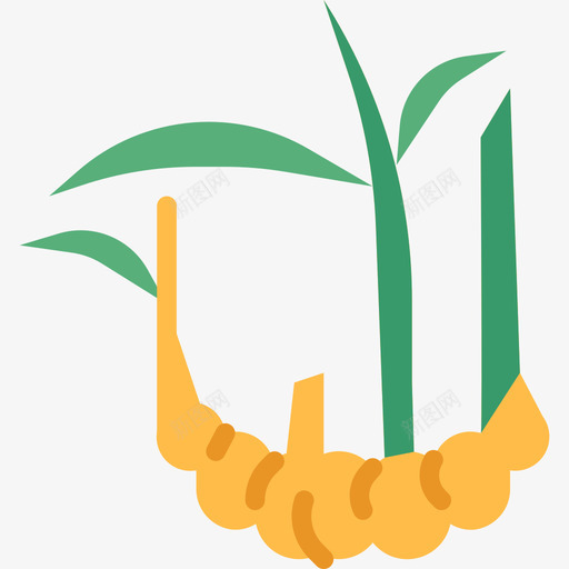 生姜香草扁姜图标svg_新图网 https://ixintu.com 扁姜 生姜 香草