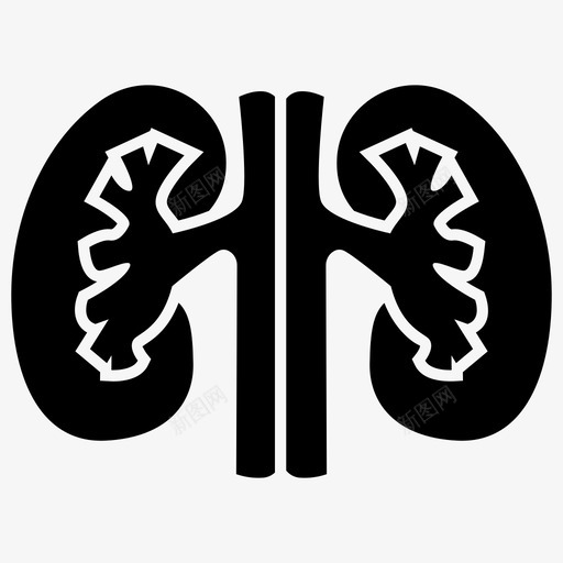 人体肾脏人体部分人体生物学图标svg_新图网 https://ixintu.com 人体 人造 修复 医学 器官 植入物 生物学 矫形 肾脏 身体 部分