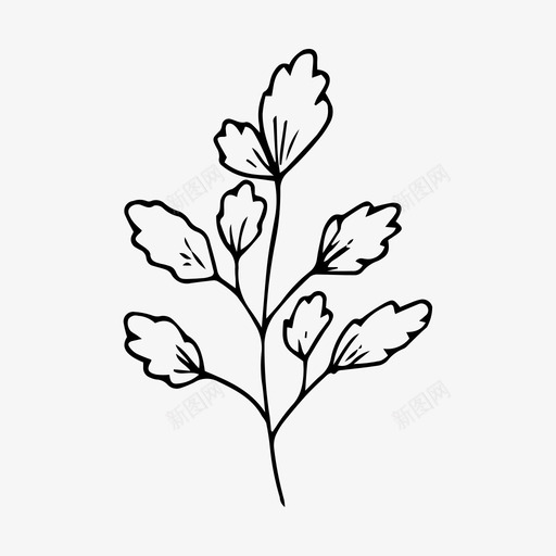 植物树枝叶子图标svg_新图网 https://ixintu.com 叶子 春天 树枝 植物 自然