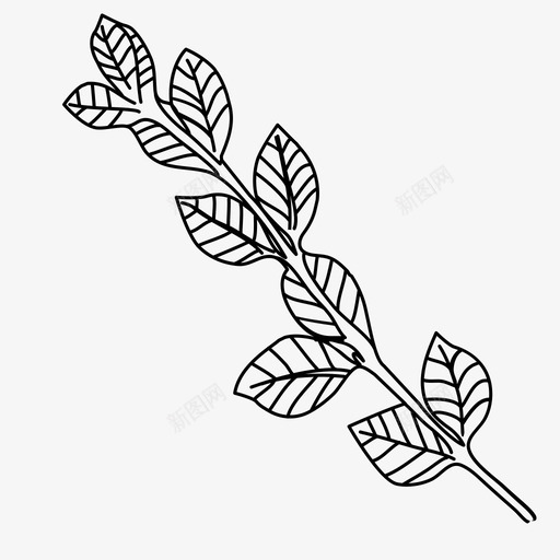 叶枝植物学叶图标svg_新图网 https://ixintu.com 叶枝 手绘 植物学 自然