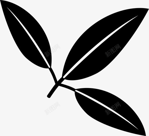 叶植物学药草图标svg_新图网 https://ixintu.com 植物 植物学 自然 药草