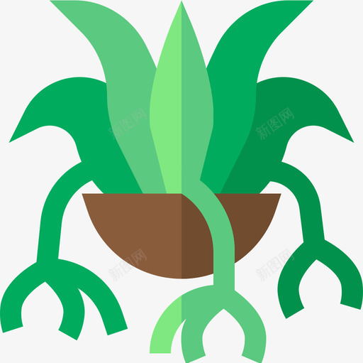 蜘蛛植物室内植物20平坦图标svg_新图网 https://ixintu.com 室内 平坦 植物 蜘蛛