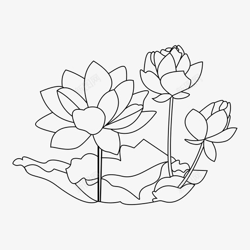 荷花园林绿化图标svg_新图网 https://ixintu.com 园林 时装 植物 素描 绿化 荷花 解剖 设计
