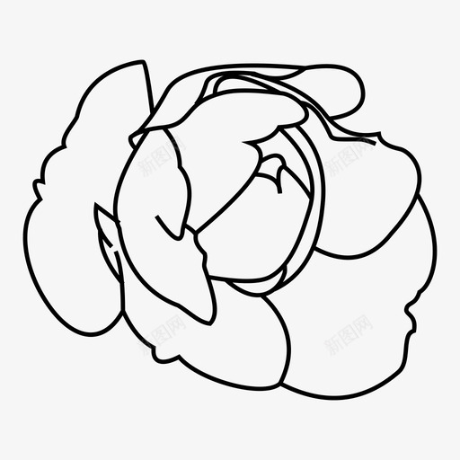 牡丹花开花花园图标svg_新图网 https://ixintu.com 开花 植物 牡丹花 绿色 花园