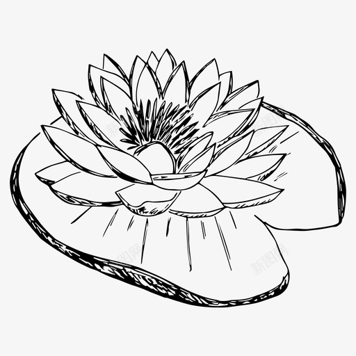 睡莲花植物图标svg_新图网 https://ixintu.com 植物 睡莲