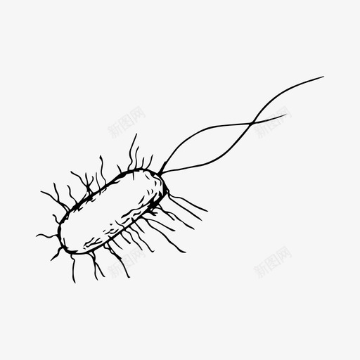 细菌杆菌生物图标svg_新图网 https://ixintu.com 手绘 杆菌 生物 病毒 细菌